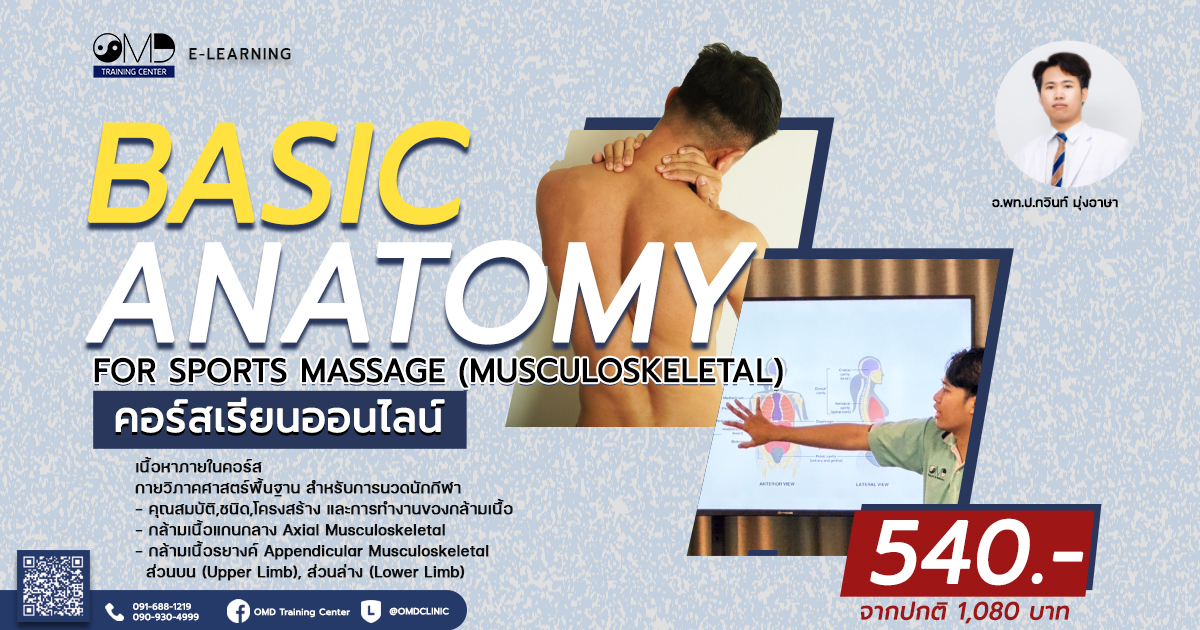 Online2 - Basic Anatomy for Sports Massage.jpg